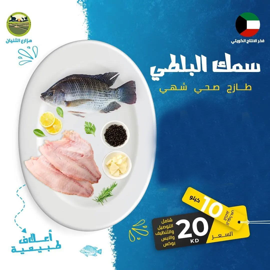 البوكس الكبير - سمك البلطي